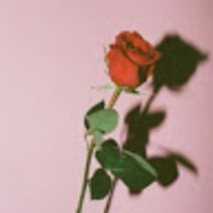 Meet your Posher, Leilani